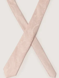 Antique Rogue Paisley Tie