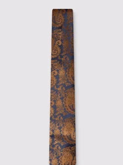 Antique Rogue Paisley Tie