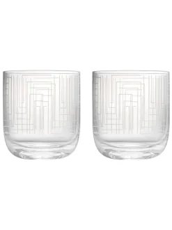 Anton Studio Designs set van 2 Maze DOF tumblers