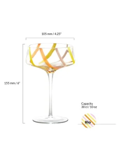 Anton Studio Designs set van 2 Rio champagnecoupes