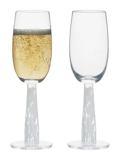 Anton Studio Designs set van 2 Björn champagneflûtes