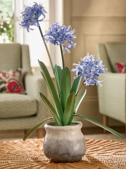 Artificial Agapanthus Plant In Ceramic Pot