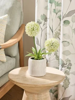 Artificial Allium Plant In Ribbed Ceramic Pot