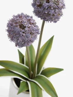 Artificial Allium Plant In Ribbed Ceramic Pot
