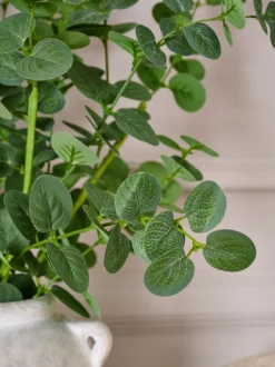 Artificial Eucylptus (3 Stems)