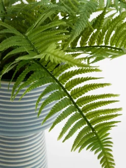 Artificial Fern in Ribbed Glaze Pot