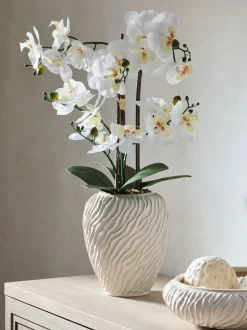 Artificial Orchid in Fairford Vase