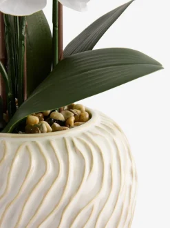Artificial Orchid in Fairford Vase
