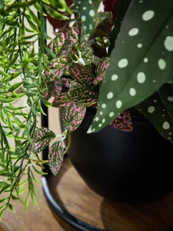 Artificial Plants in Bronx Wall Hanging Planter