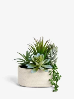Artificial Succulent Garden In Ceramic Pot