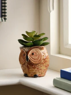 Artificial Succulent in Ceramic Owl Pot
