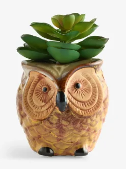 Artificial Succulent in Ceramic Owl Pot
