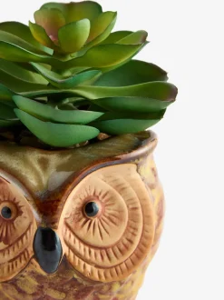 Artificial Succulent in Ceramic Owl Pot