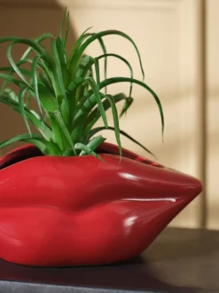 Artificial Succulent in Red Lips Vase