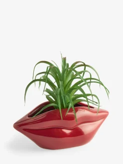 Artificial Succulent in Red Lips Vase