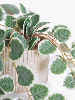 Artificial Trailing Eucalyptus In Marble Effect Pot