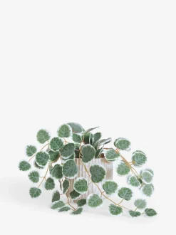 Artificial Trailing Eucalyptus In Marble Effect Pot