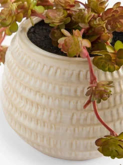 Artificial Trailing Succulent in Ceramic Pot