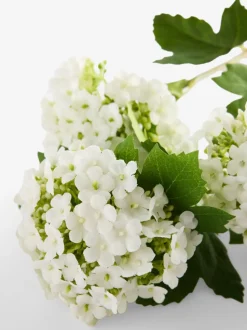 Artificial Viburnum (2 Stems)