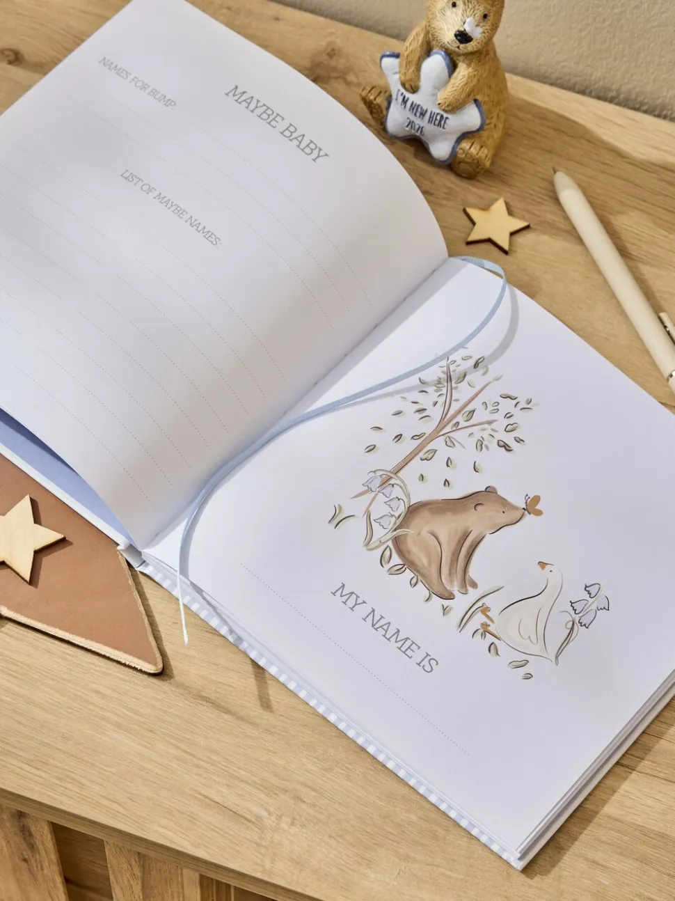 Baby Born In 2026 recordboek voor jongens