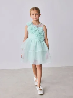 Baker by Ted Baker Corsage Organza Occasion Dress