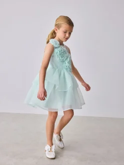 Baker by Ted Baker Corsage Organza Occasion Dress