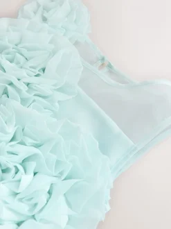 Baker by Ted Baker Corsage Organza Occasion Dress