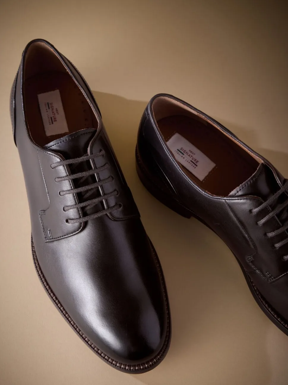 Bruin - Standaard pasvorm - Signature - Derby-schoenen met leren zool