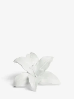 Decoratieve lelie