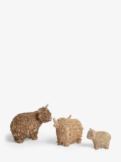 Hamish the Highland Cow