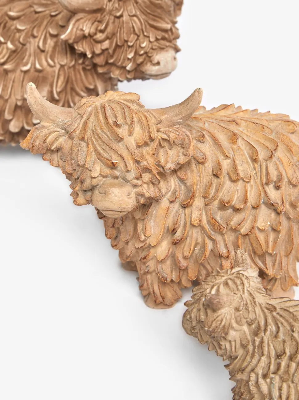 Hamish the Highland Cow