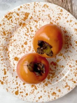 Hot Pottery Set of 4 Splatter Dinner Plates