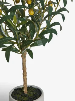 Kleine kunstolijfboom in betonnen pot