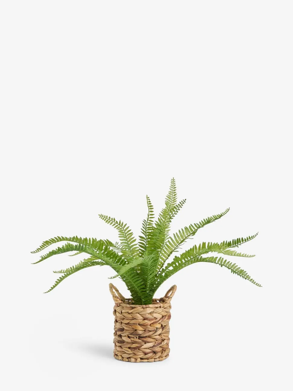 Kunstmatige Boston-varen in een natuurlijk geweven plantenpot