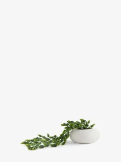 Kunstmatige hangende hop in witte keramische pot
