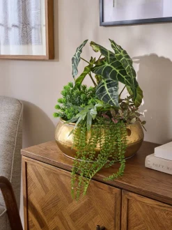 Kunstmatige succulentenopstelling