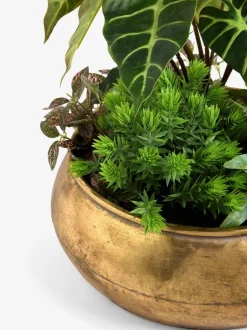 Kunstmatige succulentenopstelling