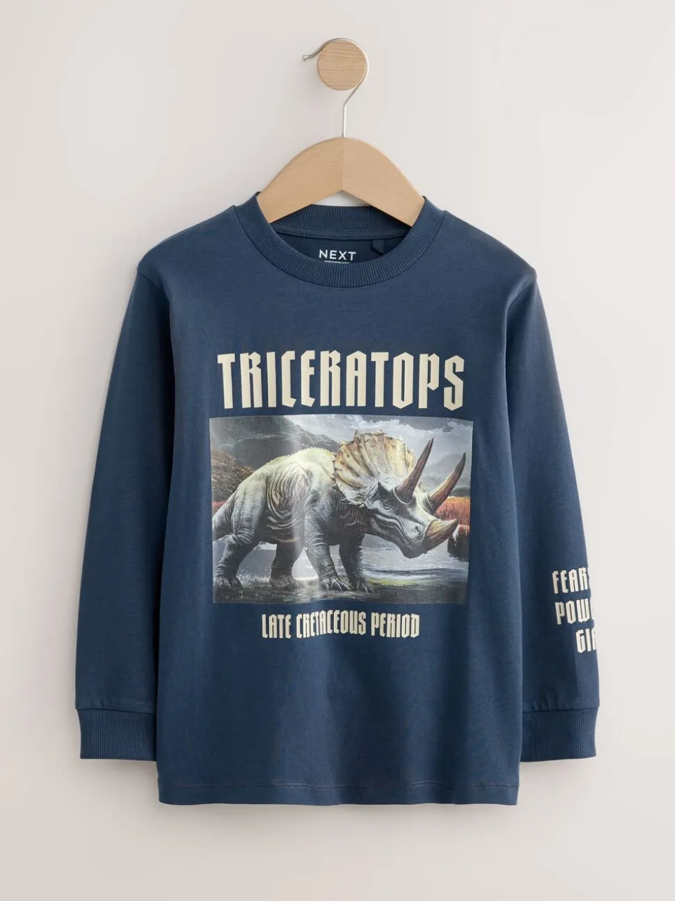 Marineblauw/blauw/ecru dinosaurus - Bedrukte T-shirts met lange mouwen verpakking van 3 (3 - 16 jr)