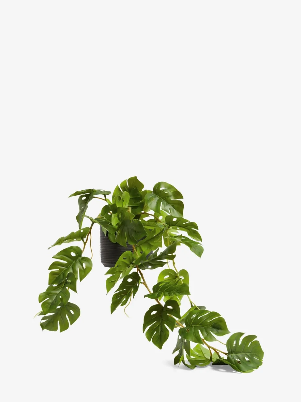 Monstera-kunsthangplant