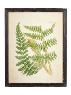 Oka Set of 8 Framed Botanical Prints