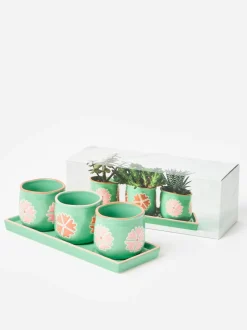 Oliver Bonas Set of 3 Flor Mini Plant Pots