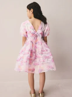 Pink Garden Roses Blurred - Laura Ashley Corsage Organza Pintuck Dress