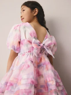 Pink Garden Roses Blurred - Laura Ashley Corsage Organza Pintuck Dress