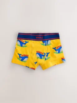 Primaire dieren - Verpakking van 10 trunks (1,5-16jr)