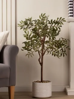 Scottish Everlastings Ltd Artificial Olive Tree in Ceramic Pot