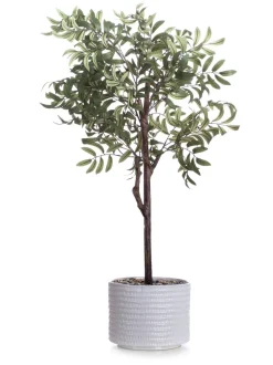 Scottish Everlastings Ltd Artificial Olive Tree in Ceramic Pot