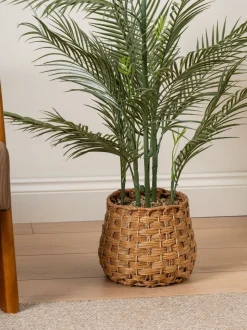 Scottish Everlastings Ltd Artificial Palm Tree in Basket