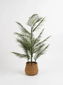 Scottish Everlastings Ltd Artificial Palm Tree in Basket