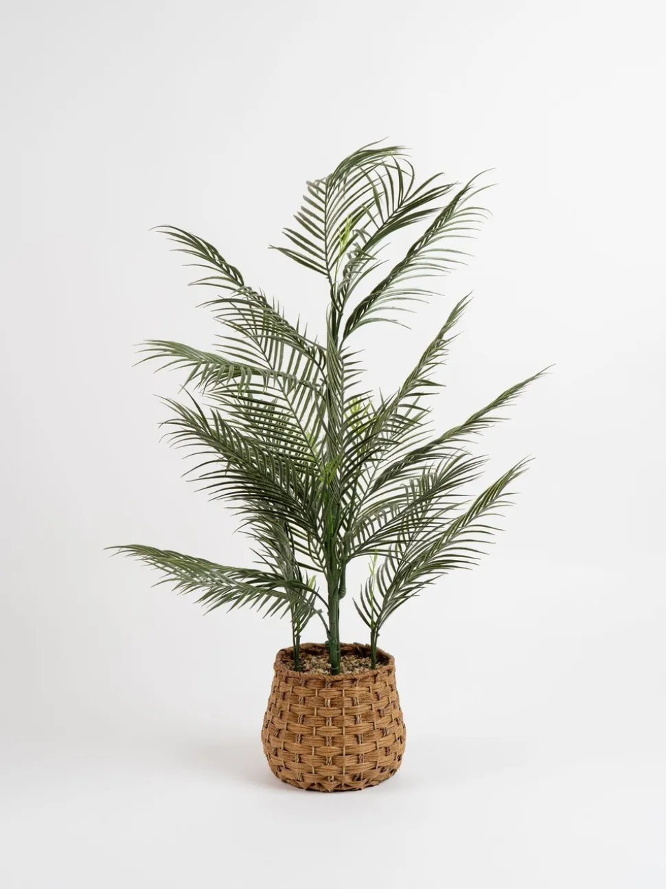 Scottish Everlastings Ltd Artificial Palm Tree in Basket