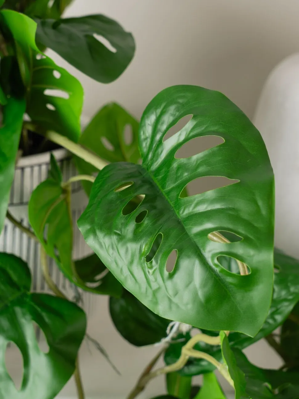 Scottish Everlastings Ltd Artificial Trailing Monkey Mask Plant